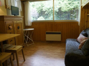 Studio Chamonix-Mont-Blanc, 1 pièce, 2 personnes - FR-1-507-72